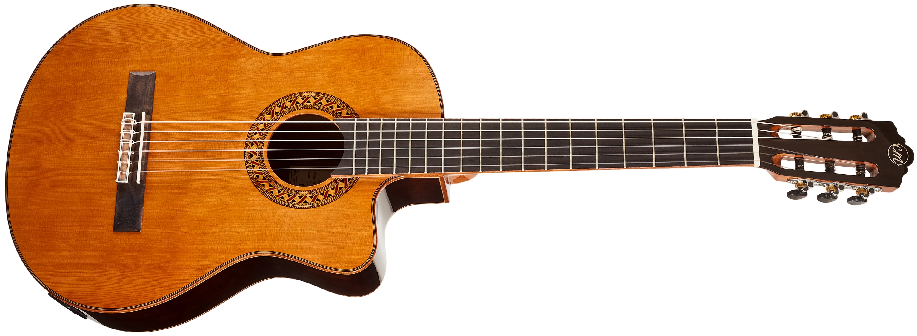 TANGLEWOOD EM DC 5
